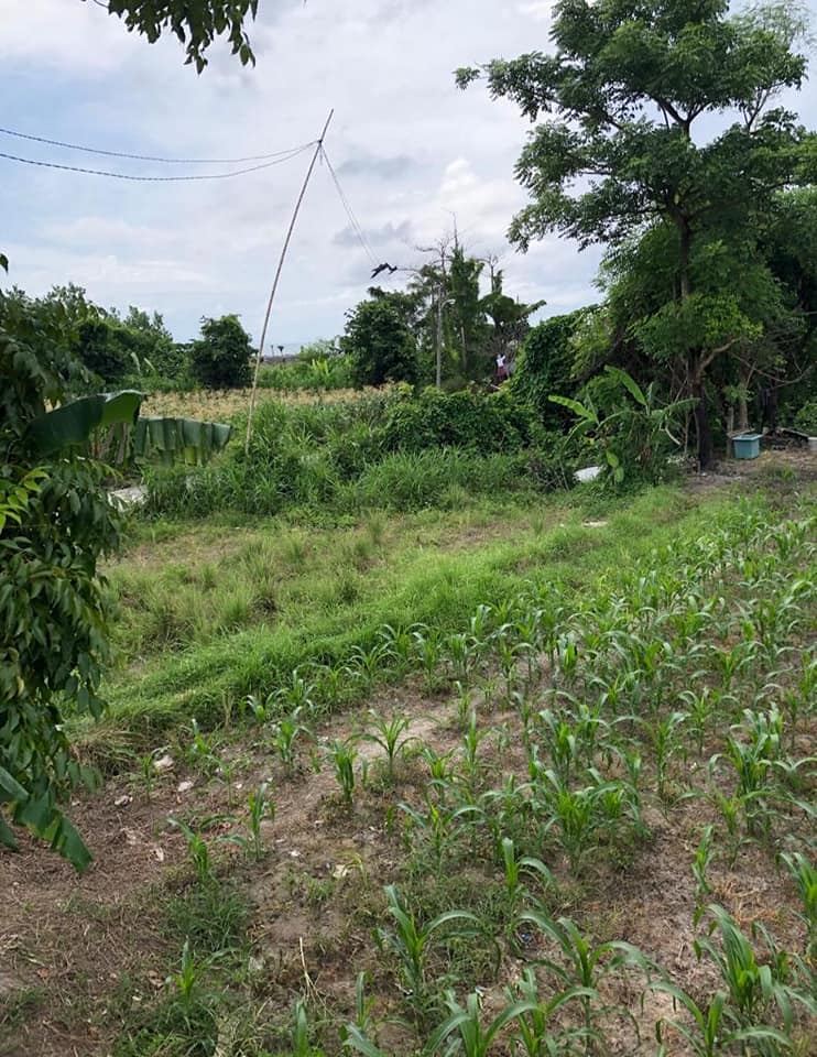 Tanah dijual di Sanur