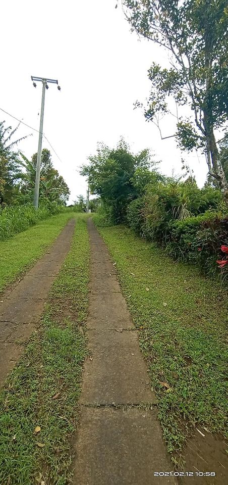 Tanah dijual di Singaraja