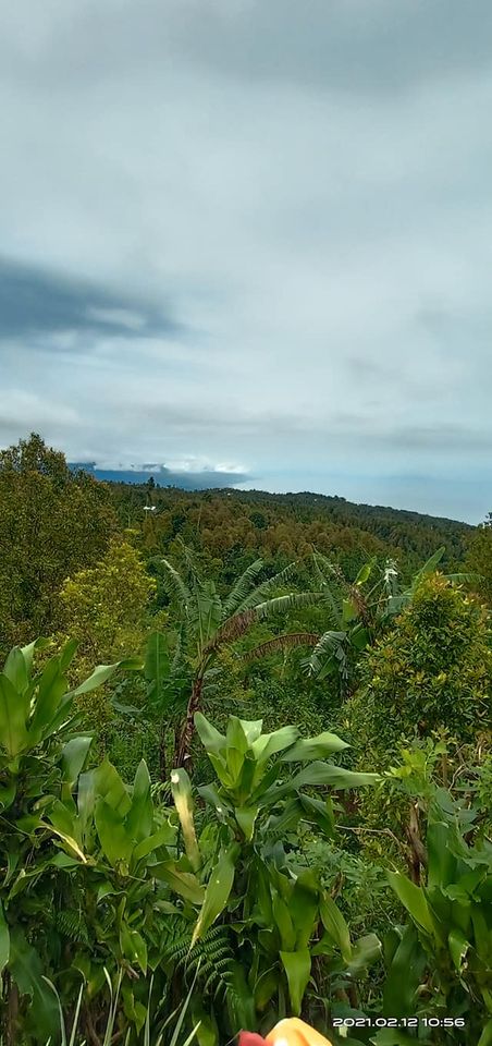 Tanah dijual di Singaraja