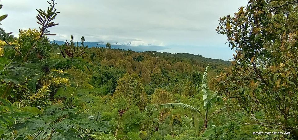 Tanah dijual di Singaraja