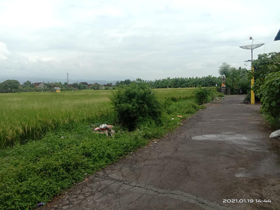 Tanah dijual di Singaraja