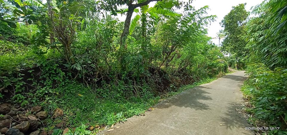 Tanah dijual di Singaraja