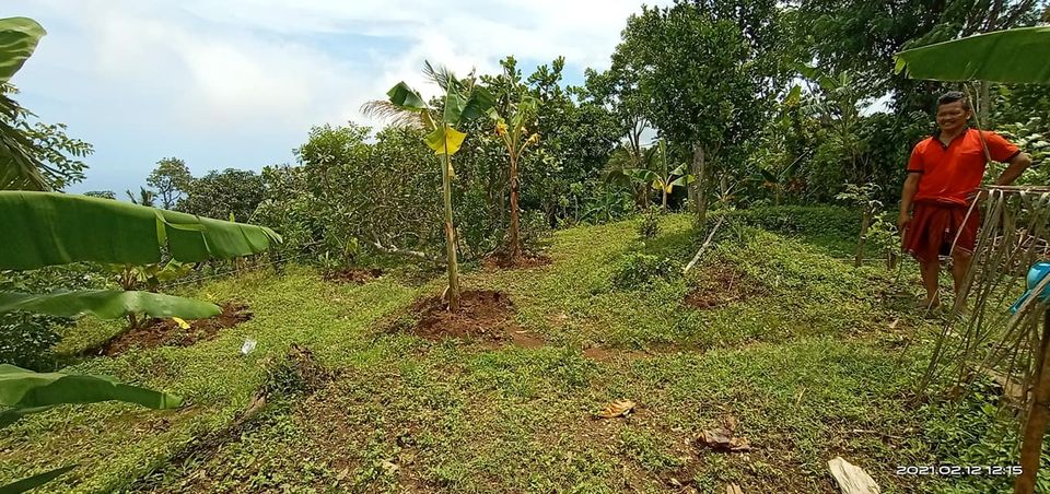 Tanah dijual di Singaraja