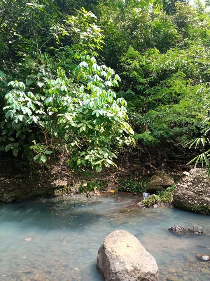 Tanah dijual di Tabanan