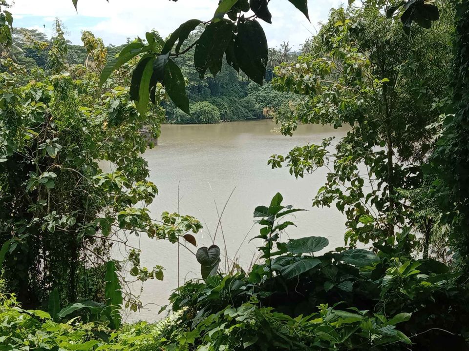 Tanah dijual di Telaga Tunjung Tabanan