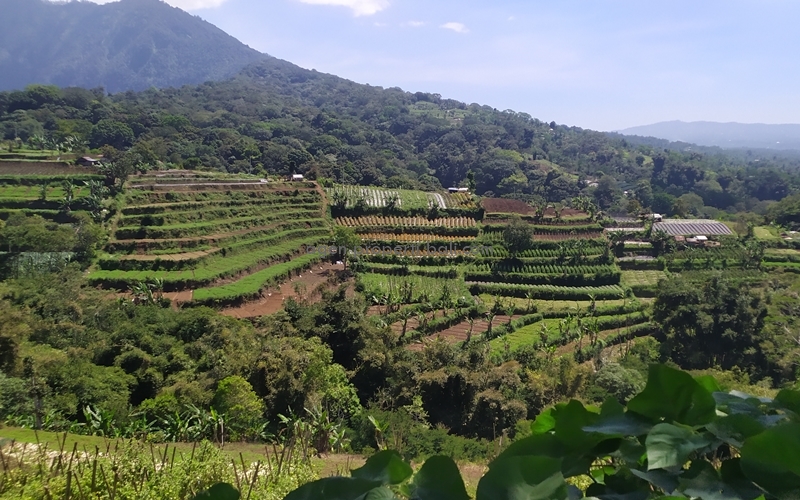 dijual tanah 1 Hektar di Bali