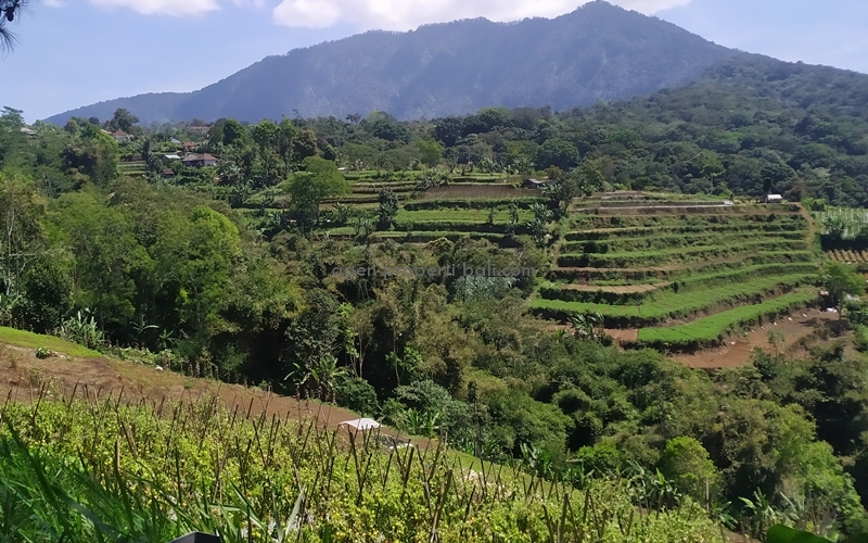 dijual tanah 1 Hektar di Bali