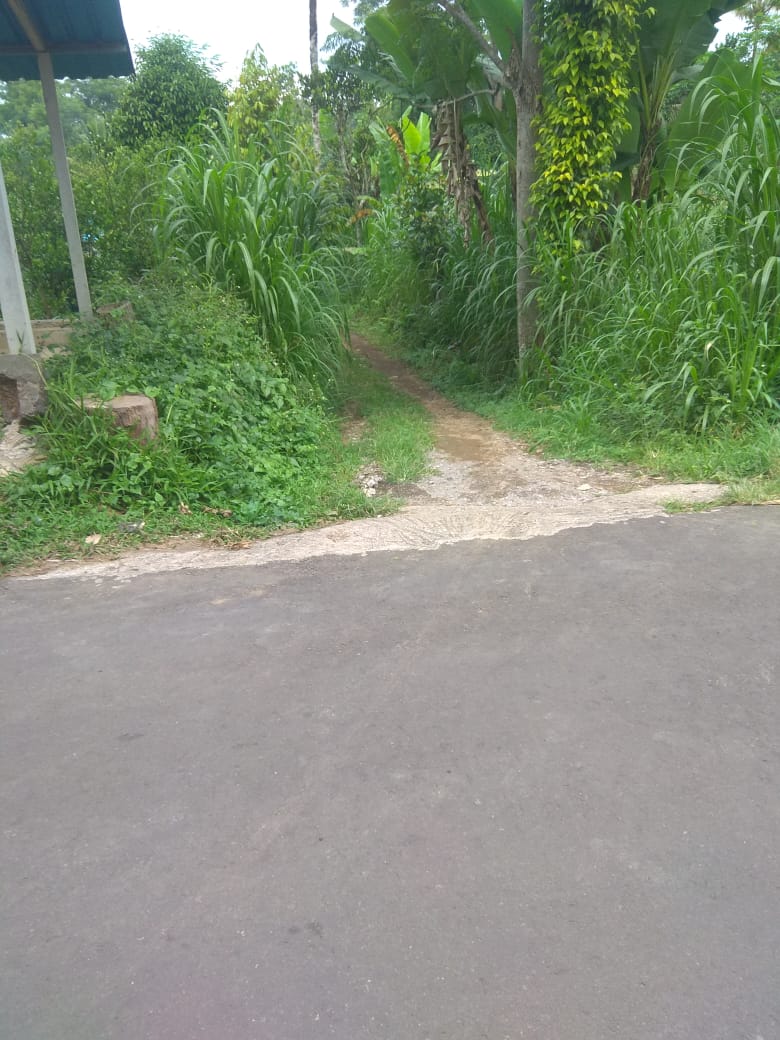 Jual Tanah di Taro Tegalalang