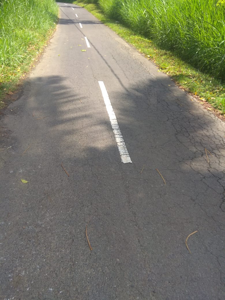 Jual Tanah di Taro Tegalalang