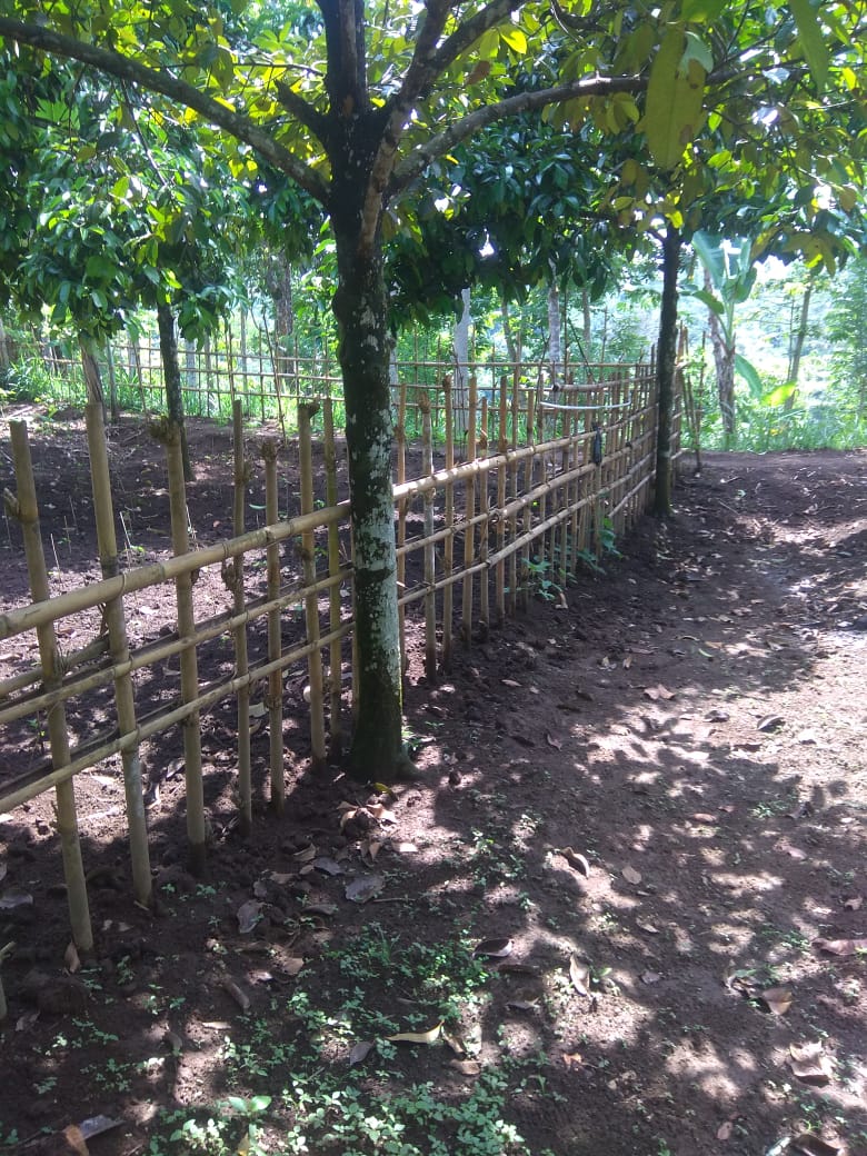 Jual Tanah di Taro Tegalalang