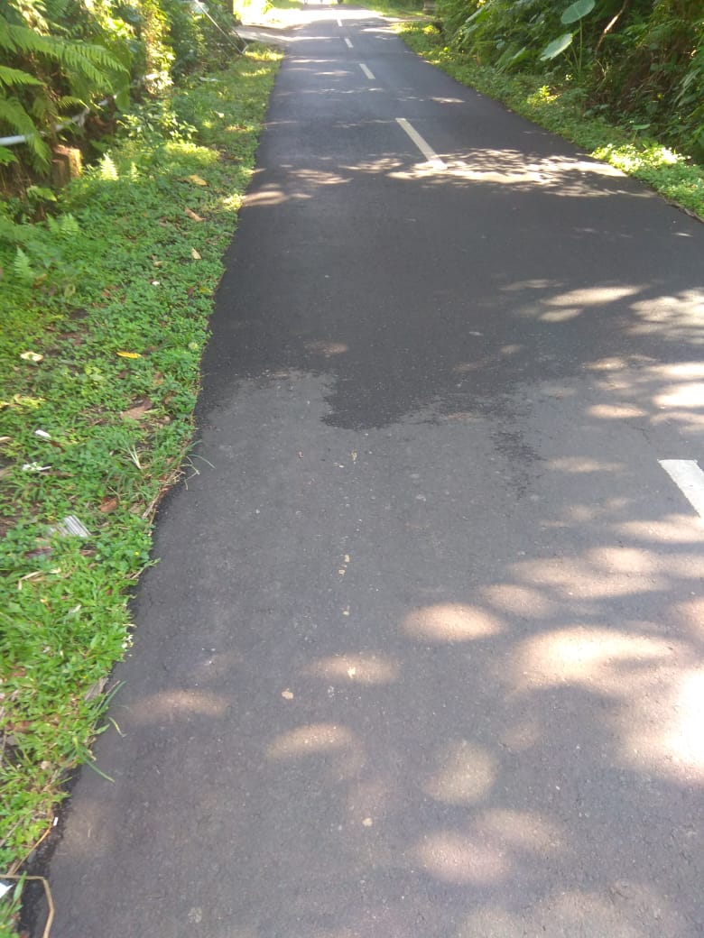 Jual Tanah di Taro Tegalalang