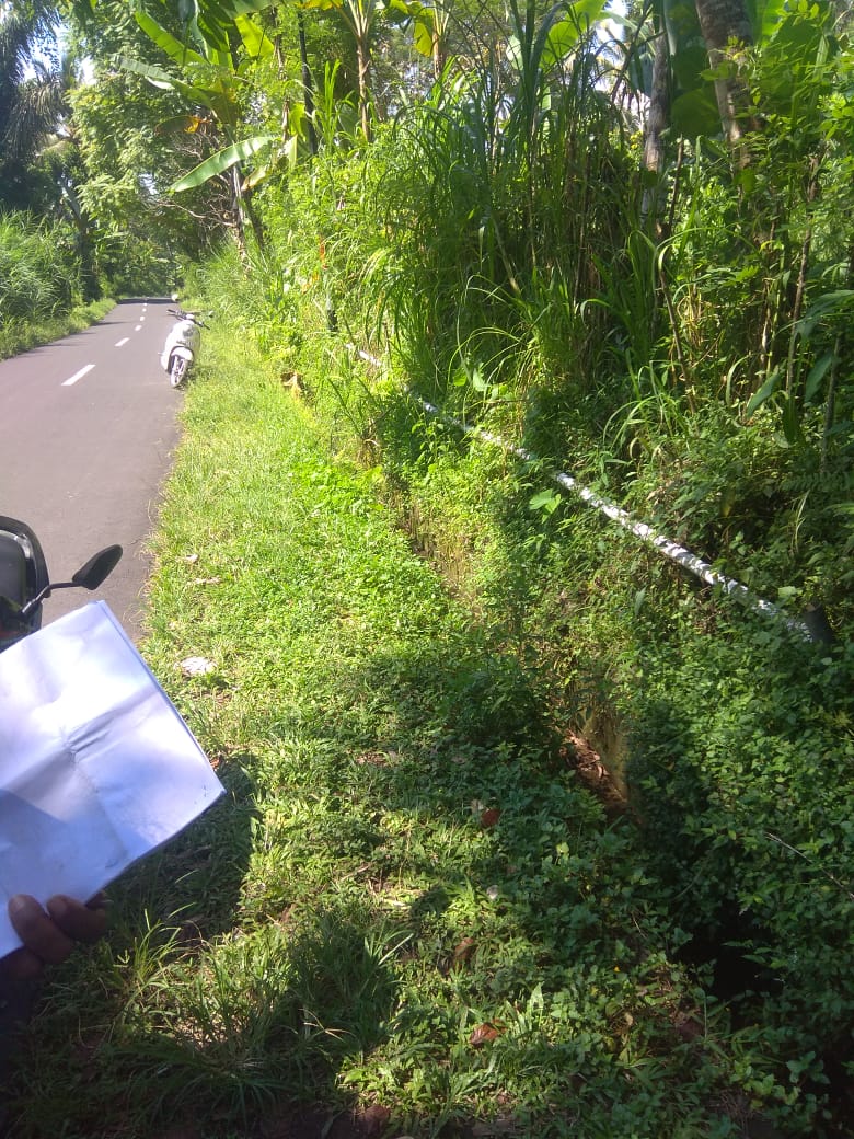 Jual Tanah di Taro Tegalalang