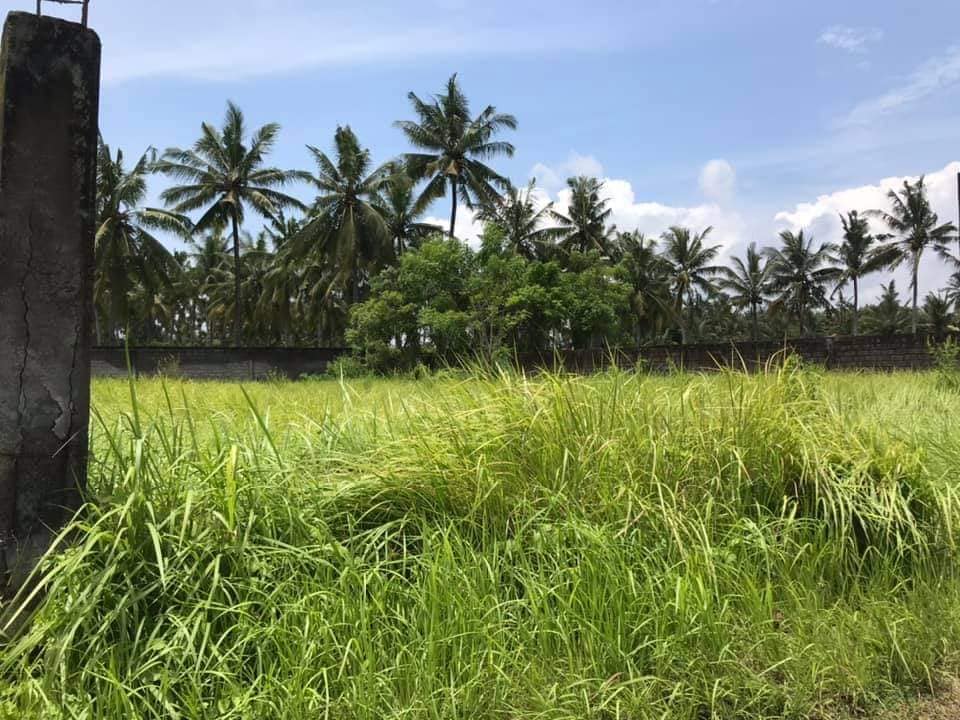 Tanah Los Pantai dijual di Gianyar