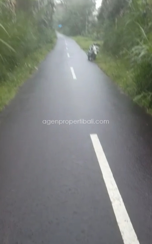 tanah dijual di Tegalalang Ubud
