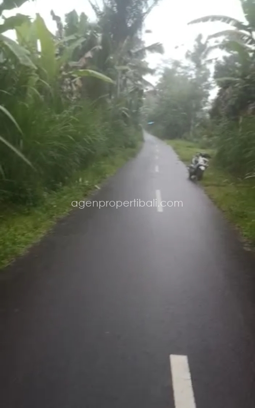 tanah dijual di Tegalalang Ubud