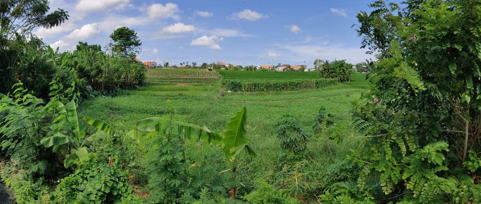 Villa dijual di Canggu Bali