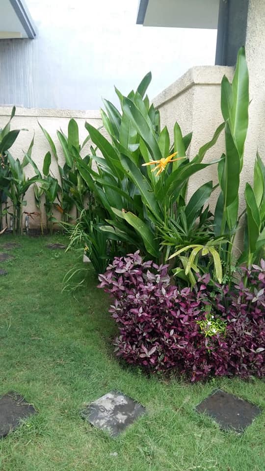 Villa dijual di Kerobokan Bali