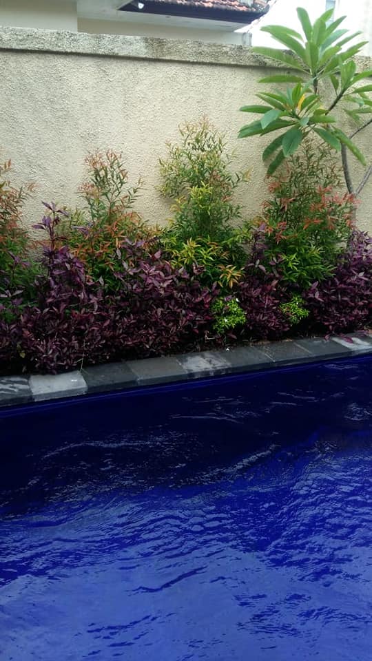 Villa dijual di Kerobokan Bali