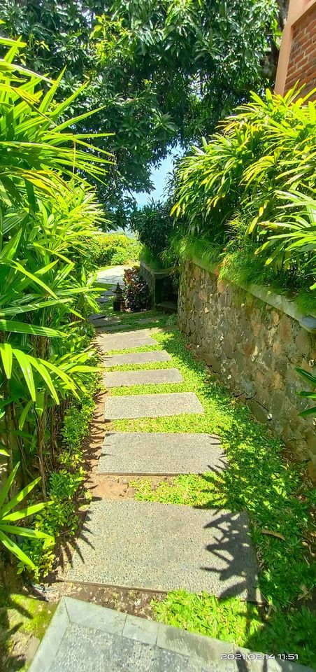 Villa dijual di Singaraja Bali