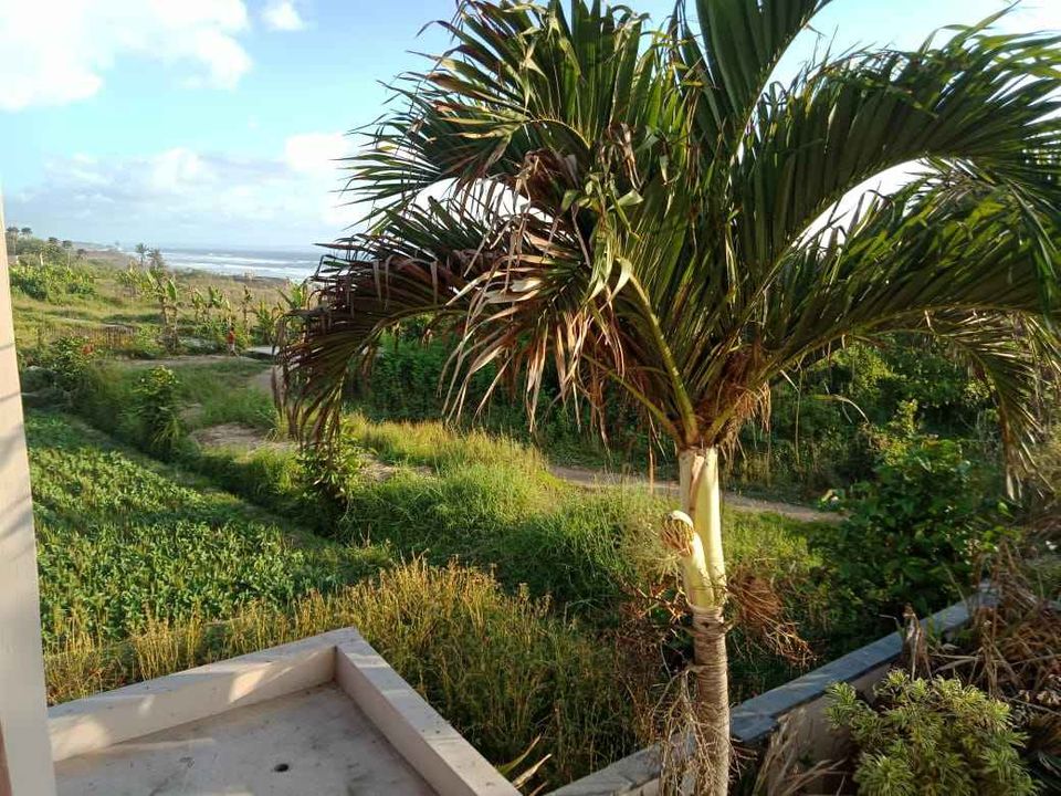 Villa dijual di Tabanan Bali class=